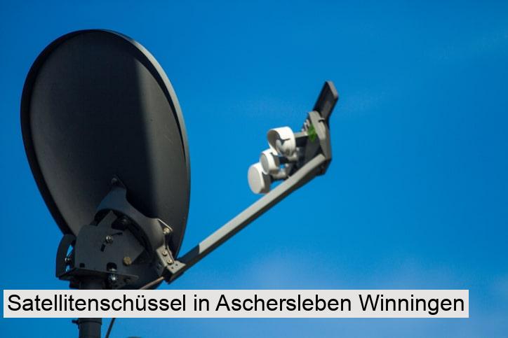 Satellitenschüssel in Aschersleben Winningen